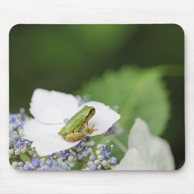 Mousepad Sapo de árvore sentado em uma Hydrangea, Hyogo (Frente)