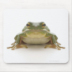 Mousepad Sapo de árvore verde (Hylidae cinerea)