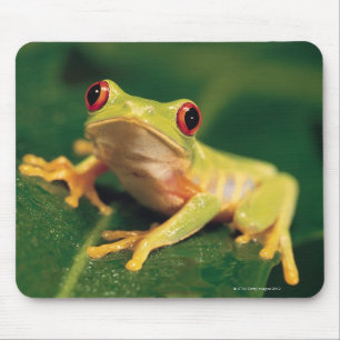 Mousepad Sapo de árvore vermelho do olho