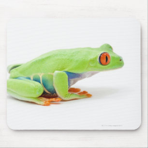Mousepad Sapo de árvore Vermelho-Eyed (Agalychnis