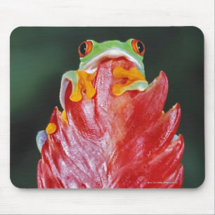 Mousepad Sapo de árvore Vermelho-Eyed na folha
