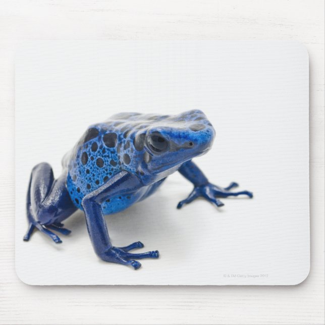 Mousepad Sapo de Dart Venenoso Azul (Dendrobates Tinctorius (Frente)