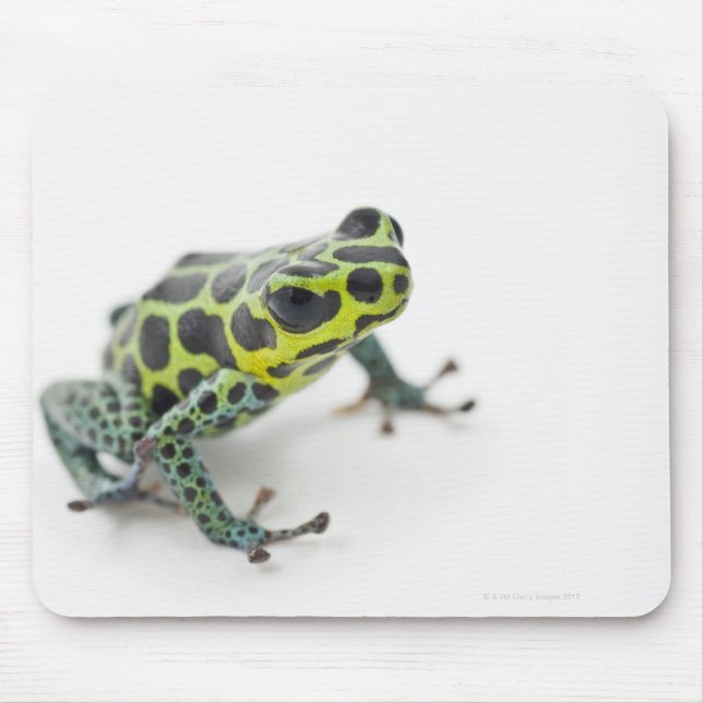 Mousepad Sapo de Dart Venenoso Verde em Preto (Frente)