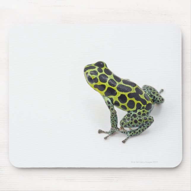 Mousepad Sapo de Dart Venenoso Verde em Preto (Frente)