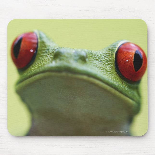 Mousepad Sapo de olhos vermelhos (Agalychnis callidryas) (Frente)