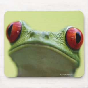 Mousepad Sapo de olhos vermelhos (Agalychnis callidryas) 2