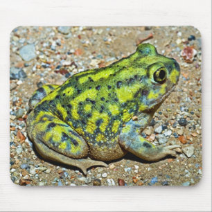 Mousepad Sapo de Spadefoot de um sofá