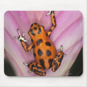Mousepad Sapo do dardo da ilha dos dois pontos, pumilio de