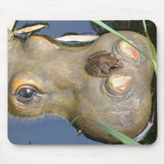 Mousepad sapo e hipopótamo