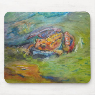 Mousepad Sapo feliz pintado aguarela do arco-íris