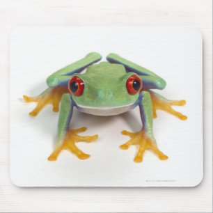 Mousepad Sapo fêmea