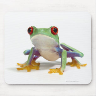 Mousepad Sapo fêmea 2