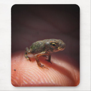 Mousepad Sapo minúsculo bonito/Tadpole do bebê
