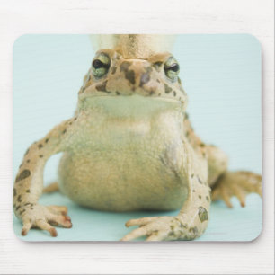 Mousepad Sapo que veste a coroa