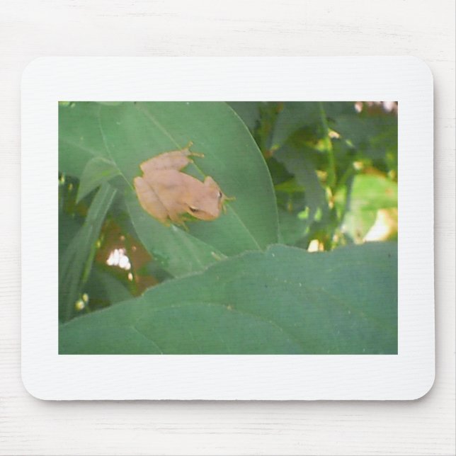 Mousepad Sapo Sentado na Folha Verde (Frente)