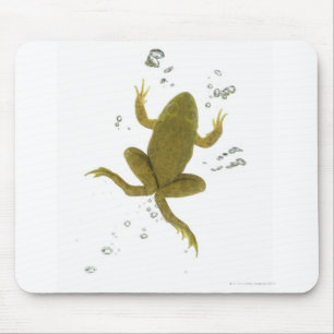 Mousepad sapo verde comum