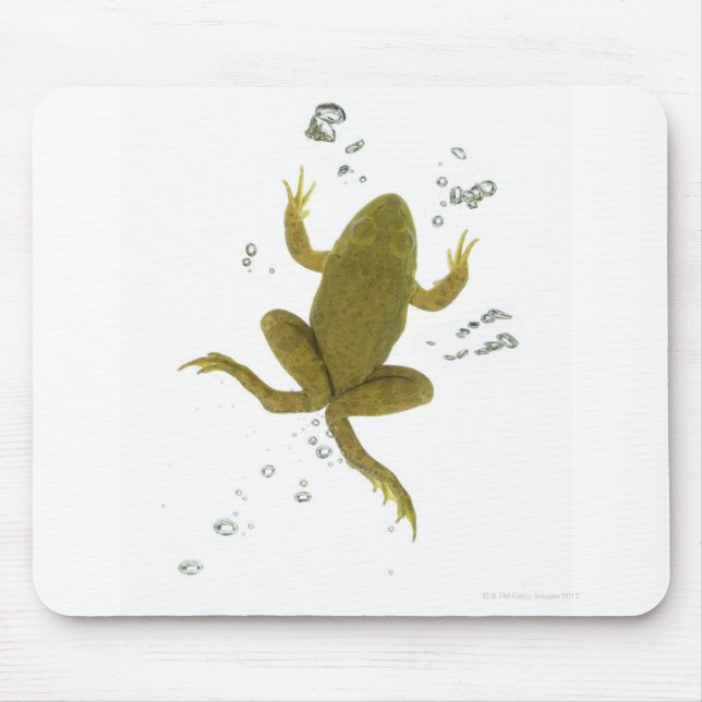 Mousepad sapo verde comum (Frente)