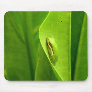 Mousepad Sapo Verde Sonolento