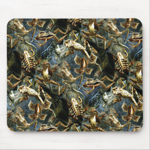Mousepad Sapos anfíbios
