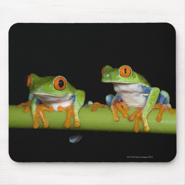 Mousepad Sapos de árvores de olhos vermelhos (Agalychnis ca (Frente)