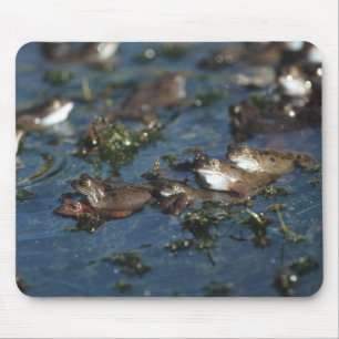 Mousepad Sapos engraçados