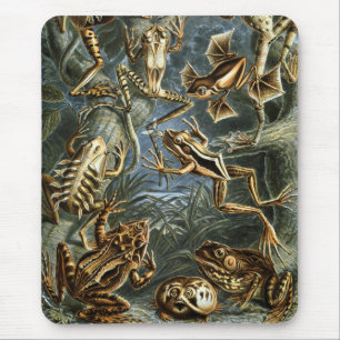 Mousepad Sapos & sapos