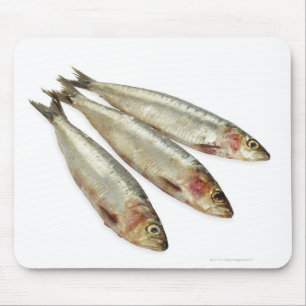 Mousepad Sardinhas (Pilchards)