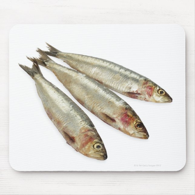 Mousepad Sardinhas (Pilchards) (Frente)