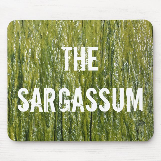 MOUSEPAD SARGASSUM! (Frente)