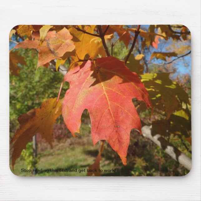 Mousepad Sassy da natureza (Frente)