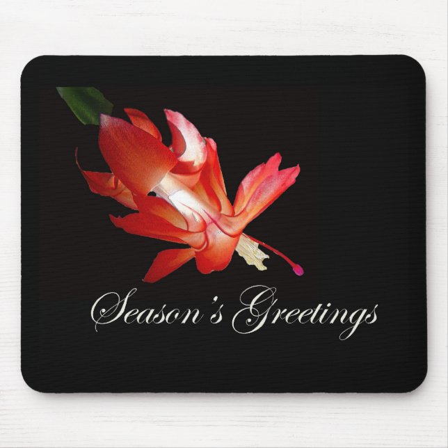 Mousepad Saudações da temporada Red Christmas Cactus (Frente)