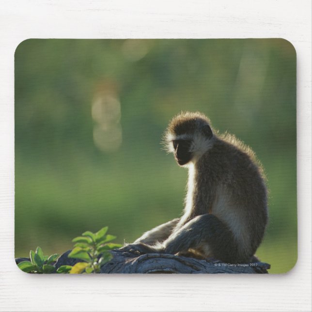 Mousepad Savanna Monkey (Frente)