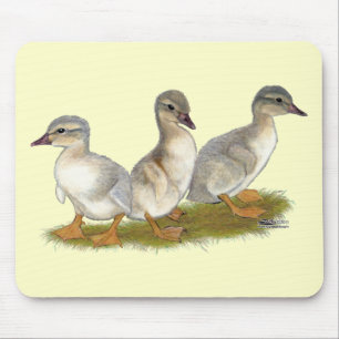 Mousepad Saxónia Ducklings