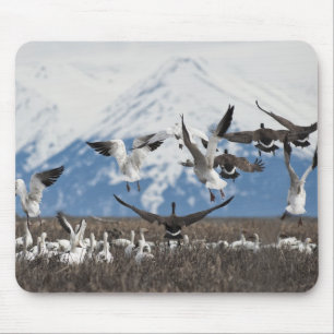 Mousepad Scattering Geese