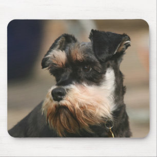 Mousepad schnauzer diminuto