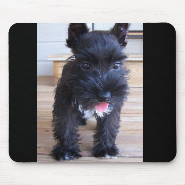 Mousepad Schnauzer diminuto (Frente)