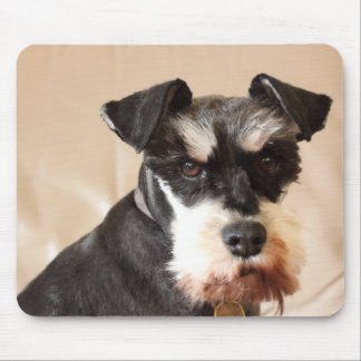 Mousepad schnauzer diminuto