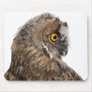 Mousepad Scops-coruja euro-asiática - scops do Otus (2