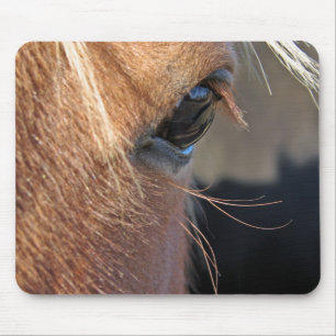 Mousepad Scotch Extreme Closeup