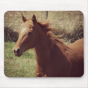 Mousepad Scotch in Motion