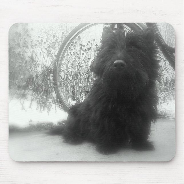 Mousepad Scottish Terrier do inverno (Frente)