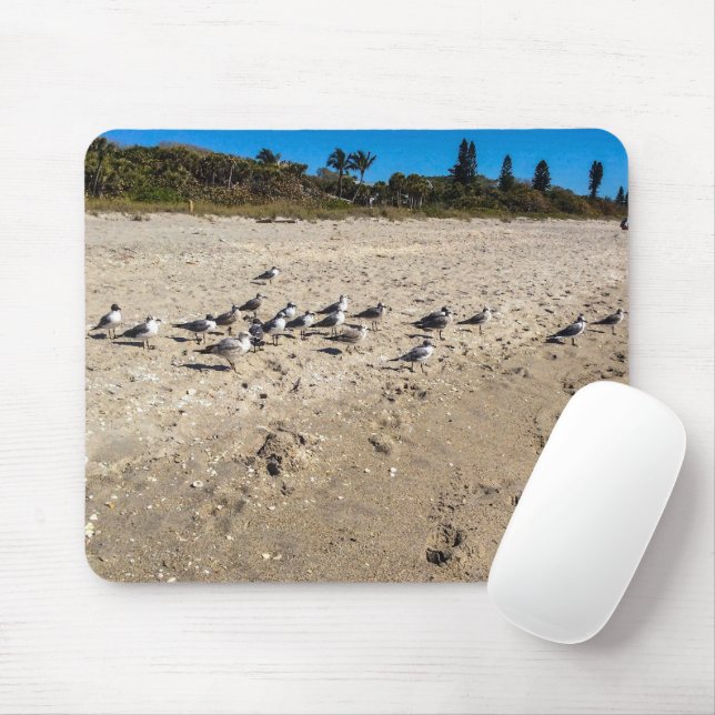 Mousepad Sea Gulls Pegue o Bocalho da Praia (Com mouse)