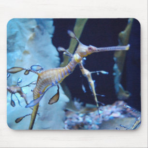 Mousepad SeaDragon
