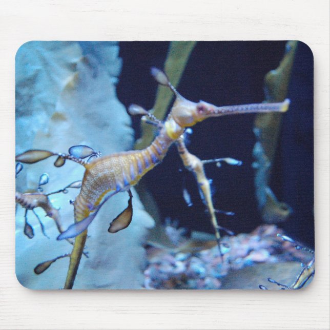Mousepad SeaDragon (Frente)