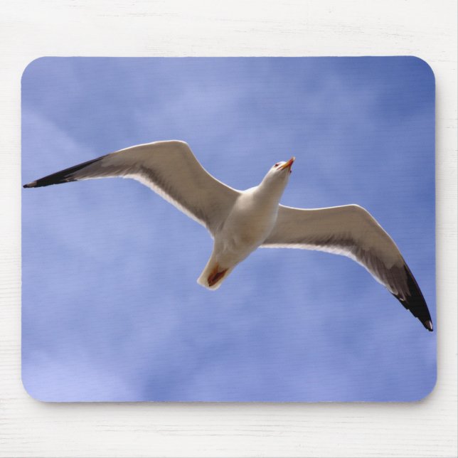 Mousepad Seagull (Frente)