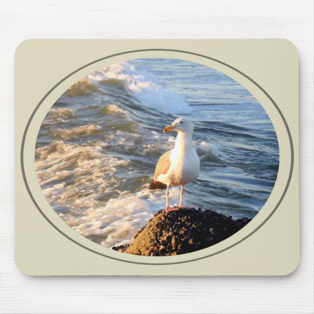 Mousepad Seagull (Frente)