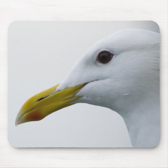 Mousepad Seagull amigável? (Frente)