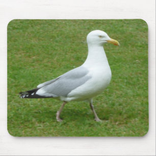Mousepad Seagull caminhando no Parque