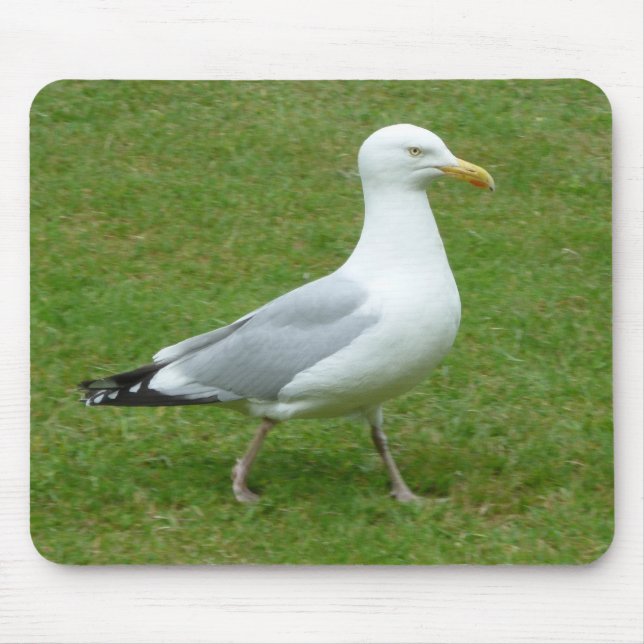 Mousepad Seagull caminhando no Parque (Frente)