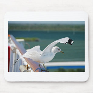 Mousepad Seagull.JPG